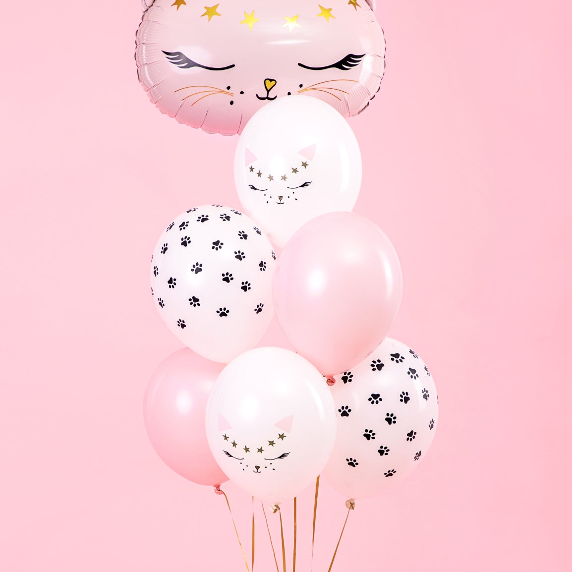 Ballon de baudruche - Chat