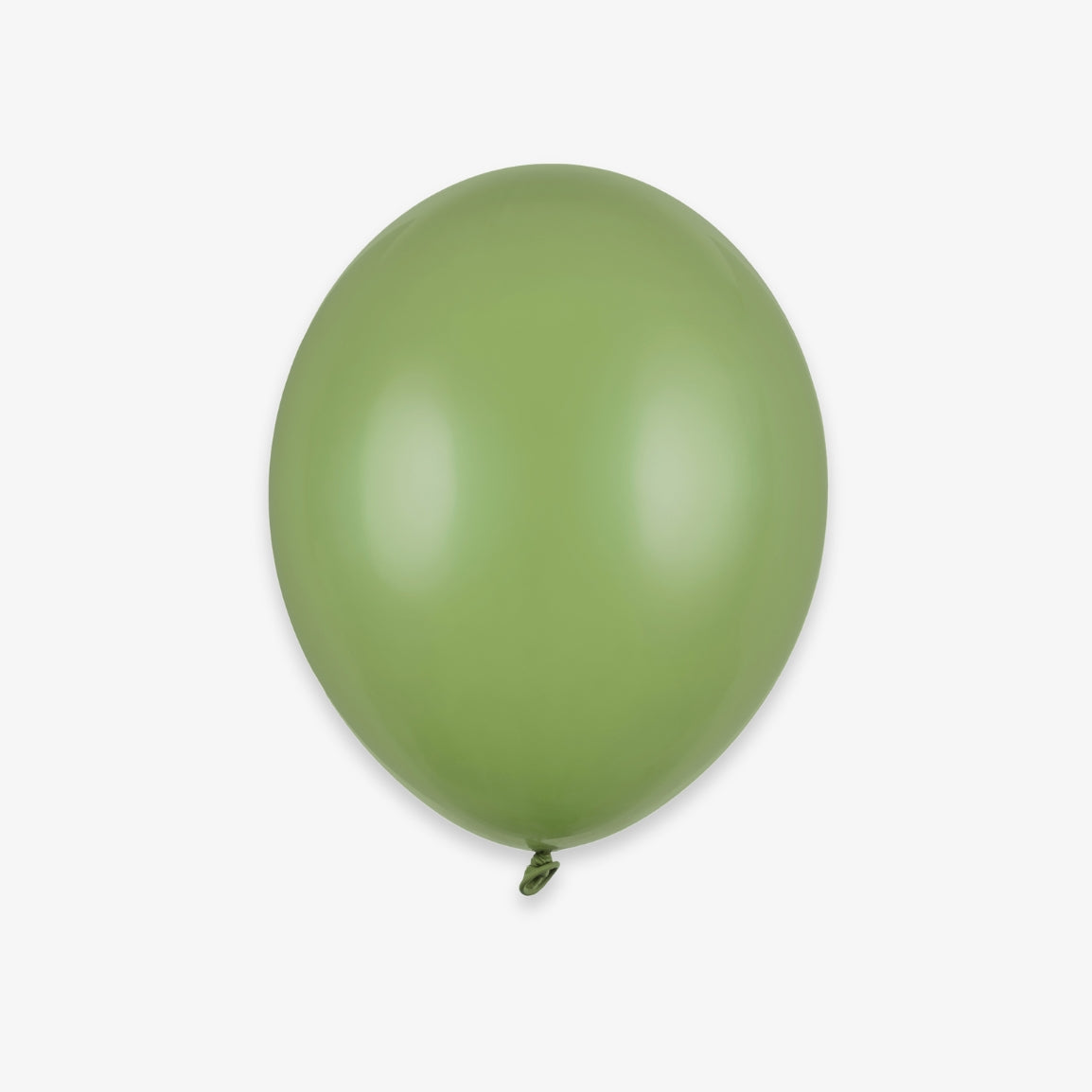 Ballon de baudruche x 10 - Sauge