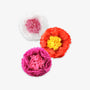 Fleurs papier de soie